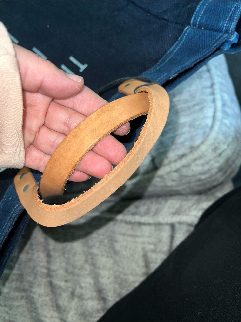 Apolis Global Citizen Market Tote - Picture 6 of 11